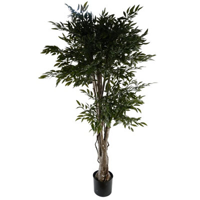 Leaf 140Cm Uv Resistant Ruscus Tree- 2716 Leaves from B&Q
