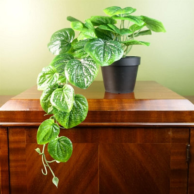 Leaf 35Cm Artificial Trailing Natural Look Potted Pothos Plant Realistic from B&Q