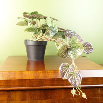 Leaf 35Cm Artificial Trailing Purple Potted Pothos Plant Realistic from B&Q