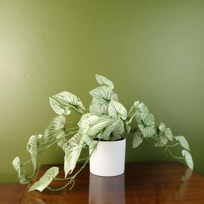 Leaf 30Cm Artificial Trailing Plant Realistic Variegated Potted Alocasia from B&Q