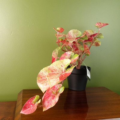 Leaf Pink Artificial Trailing Hanging Plant Realistic Splash Caladium 35Cm
