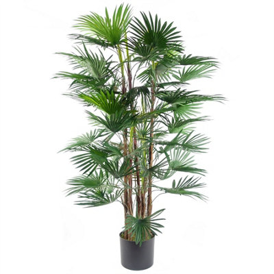 Leaf 120Cm Raphis Palm Artificial from B&Q