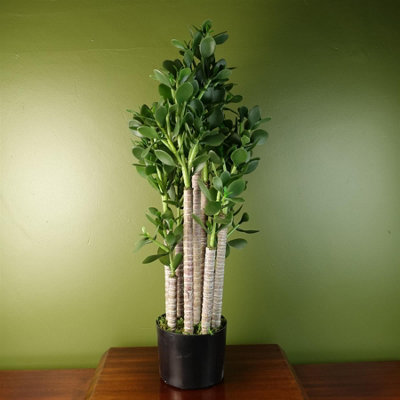 Leaf Artificial Deluxe 75Cm Green Jade Plant from B&Q