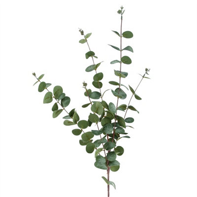 Leaf Artificial 100Cm Eucalyptus Foliage from B&Q