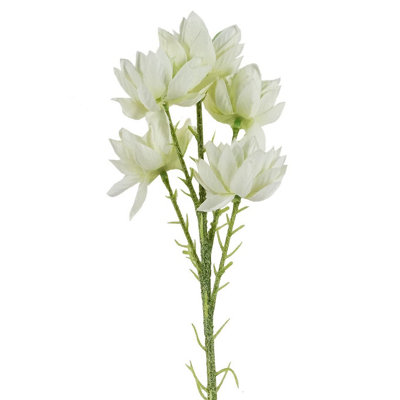 Leaf White Starflower Stem - 5 Flowers 60Cm