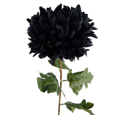 Leaf 75Cm Extra Large Reflex ChrysanthemumBlack from B&Q