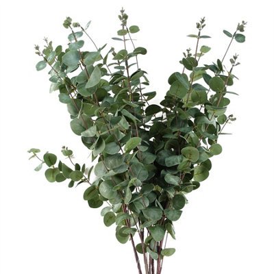 Leaf 6 X 100Cm Artificial Eucalyptus Foliage
