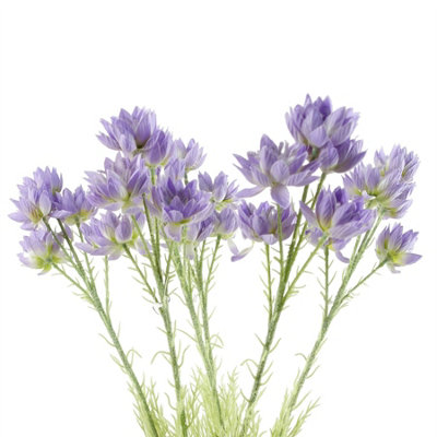 Leaf Pack Of 6 X 60Cm Starflower Stem - 30 Flowers Purple