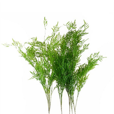 Leaf Pack Of 6 X 120Cm Artificial Boston Fern Stem Filler from B&Q