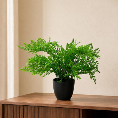 B&Q -  30Cm Artificial Potted Southern Wood Fern Black Pot