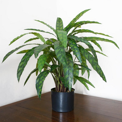 Leaf Variegated Artificial Calathea Plant 60Cm