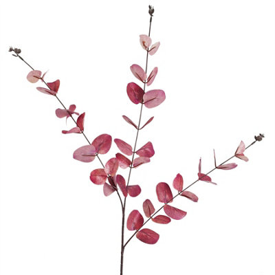 Leaf 80Cm Pink Eucalyptus Foliage Stem from B&Q