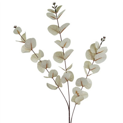 B&Q -  80Cm White Eucalyptus Foliage Stem - Image 5