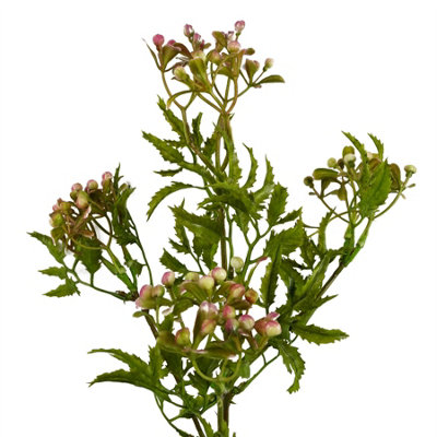 Leaf Pink Artificial Foliage Stem With Berries 55Cm