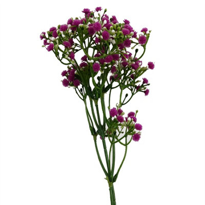 Leaf 55Cm Gypsophila Pink Stem  Artificial Single Stem Flower from B&Q