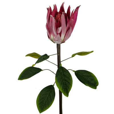 Leaf Unisex Pink 65Cm Artificial Protea Sugarbush Flower Stem - Image 5
