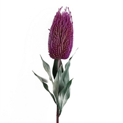 Blue Pirate Pink 75Cm Banksia Menziesii Flower Stem Artificial - Image 5