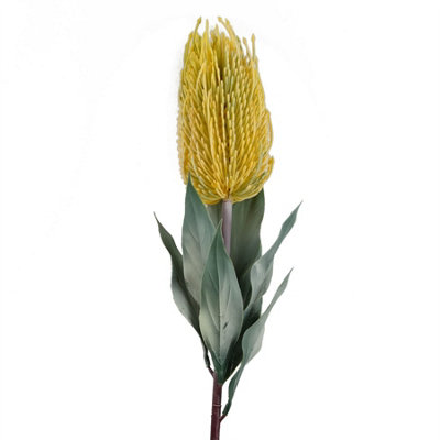 B&Q -  75Cm Banksia Menziesii Yellow Flower Stem Artificial - Image 6
