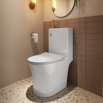 Plum&clay Ajax 2 In 1 Close Coupled Rimless Toilet Pan With Cistern & Basin Inc. Gold Flush Button from B&Q