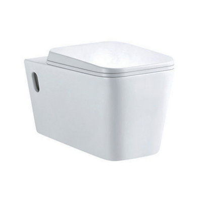 Plum&clay Danby Wall Hung Ceramic Toilet With Soft Close SeatQuick Release Hinges & Anti Bacterial Glaze from B&Q