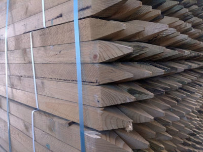 Inspirational Gifting 10 X Square & Pointed Wooden Hc4 Pressure Treated Tree Stakes/posts1.2M Tall X 45mm Wide from B&Q