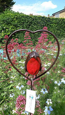 B&Q -  Red Robin In A Heart Garden Plant Stake