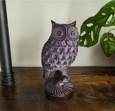 Inspirational Gifting Little Owl Garden Ornament Figurine Sculpture from B&Q