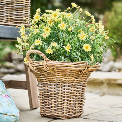 Dibor Traditional Rattan Medium Summer Outdoor Garden Basket Planter from B&Q