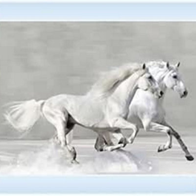 Biznest White Horses Picture Liquid 3D Wall Decor Glitter Wall Art Mirrored Frame Home Deco 55X55Cm An248 from B&Q