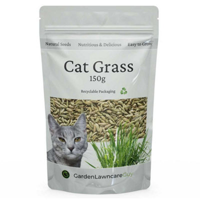 Garden Lawncare Guy Oats Grass Seed For Growing Cat Grass150G from B&Q