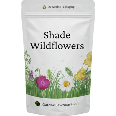 Garden Lawncare Guy Shade And Woodland Wildflower Seed Mix Grams from B&Q