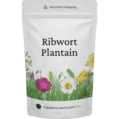 Garden Lawncare Guy Ribwort Plantain Seed For SowingForage For TortoisesRabbitsGuinea Pigs 100G Grams from B&Q