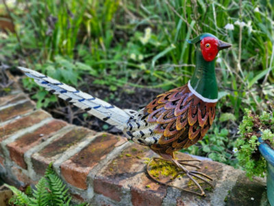 B&Q -  Pheasant Garden Sculpture Metal Bird Ornament