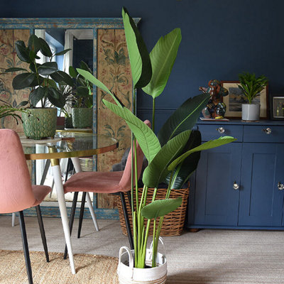 Madison & Mayfair Elegant Strelitzia Plant In Chic Black Pot