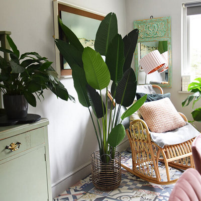 Madison & Mayfair Lifelike Tall Green Strelitzia In Sleek Black Pot from B&Q