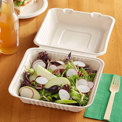 Hot Bargains Bagasse Meal Box 50 Pack 9 Inch Square Biodegradable Container from B&Q