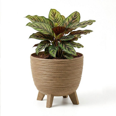Geezy Brown Plant Pot With Legs 29Cm Indoor Outdoor Planter For Home Patio Garden from B&Q