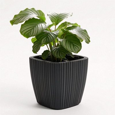 Geezy Plant Pot With Removable Insert 29Cm Indoor Outdoor Home Garden Flower Planter from B&Q