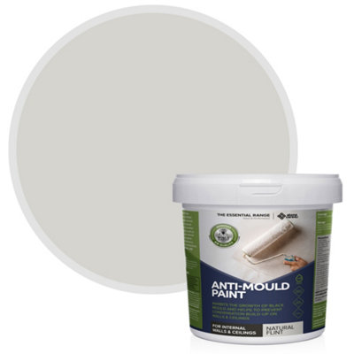Stonecare4UAnti-Mould PaintNatural Flint (5L) BathroomKitchen & Bedroom Walls & CeilingsProtect Against Mould from B&Q