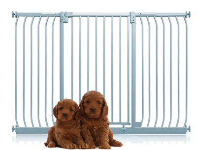 Bettacare Extra Tall Elite Dog Gate152Cm161CmMatt GreyExtra Tall 96.8Cm In HeightPressure Fit Pet Gate from B&Q