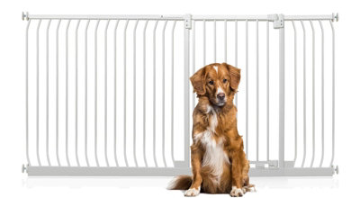 Bettacare Extra Tall Elite Dog Gate198Cm207CmMatt WhiteExtra Tall 96.8Cm In HeightPressure Fit Pet Gate from B&Q