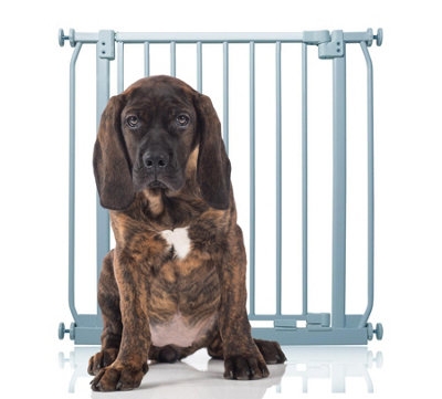 Bettacare Elite Pressure Dog Gate71Cm80CmMatt GreyPressure Fit Pet Gate For Dog And Puppy from B&Q