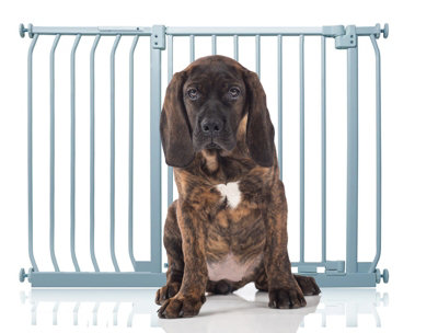 Bettacare Elite Pressure Dog Gate107Cm116CmMatt GreyPressure Fit Pet Gate For Dog And Puppy from B&Q