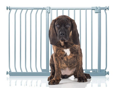Bettacare Elite Pressure Dog Gate116Cm125CmMatt GreyPressure Fit Pet Gate For Dog And Puppy from B&Q