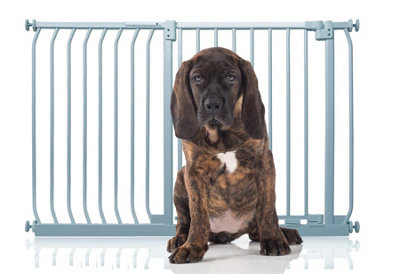 Bettacare Elite Pressure Dog Gate125Cm134CmMatt GreyPressure Fit Pet Gate For Dog And Puppy from B&Q