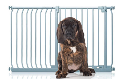 Bettacare Elite Pressure Dog Gate134Cm143CmMatt GreyPressure Fit Pet Gate For Dog And Puppy from B&Q