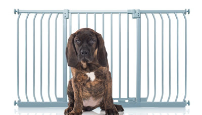 Bettacare Elite Pressure Dog Gate143Cm152CmMatt GreyPressure Fit Pet Gate For Dog And Puppy from B&Q