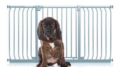 Bettacare Elite Pressure Dog Gate152Cm161CmMatt GreyPressure Fit Pet Gate For Dog And Puppy from B&Q