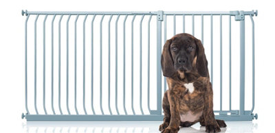Bettacare Elite Pressure Dog Gate171Cm180CmMatt GreyPressure Fit Pet Gate For Dog And Puppy from B&Q