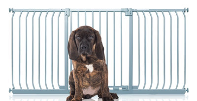 Bettacare Elite Pressure Dog Gate179Cm188CmMatt GreyPressure Fit Pet Gate For Dog And Puppy from B&Q